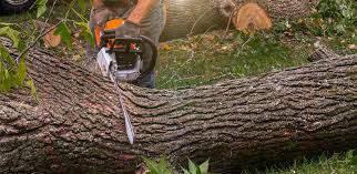 Best Lawn Watering Services  in New London, WI